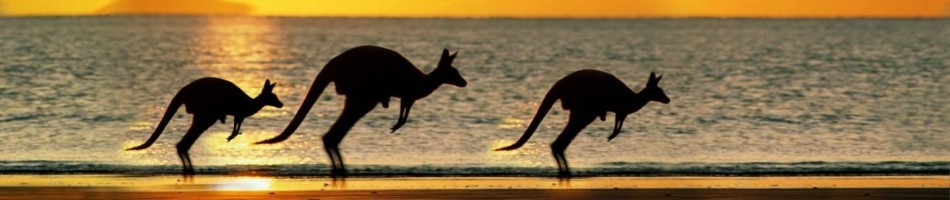 Иммиграция в Австралию, Австралийские визы, Обучение, работа, бизнес в Австралии
